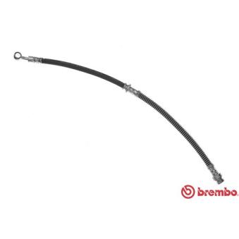 Flexible de frein BREMBO OEM 587313A000