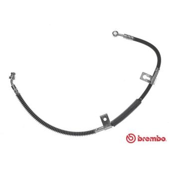 Flexible de frein BREMBO T 30 099