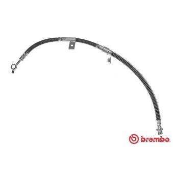 Flexible de frein BREMBO T 30 100