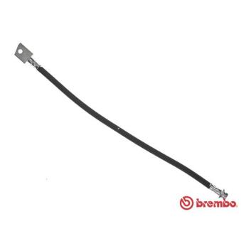 Flexible de frein BREMBO OEM 562367