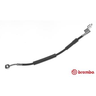 Flexible de frein BREMBO OEM 4210852 Flexible de frein BREMBO OEM 4210852
