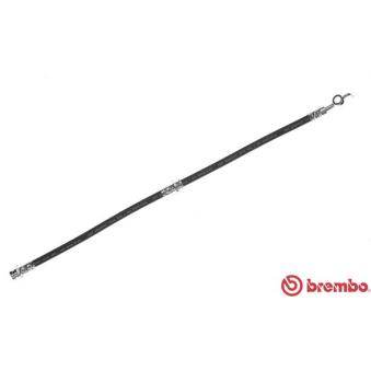 Flexible de frein BREMBO OEM BK1T43980
