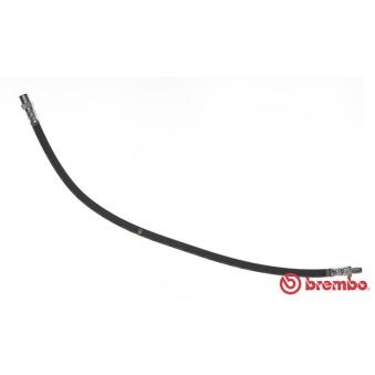 Flexible de frein BREMBO OEM A6384282135