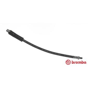 Flexible de frein BREMBO OEM A6394280435