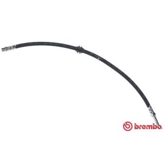 Flexible de frein BREMBO OEM 9064280835