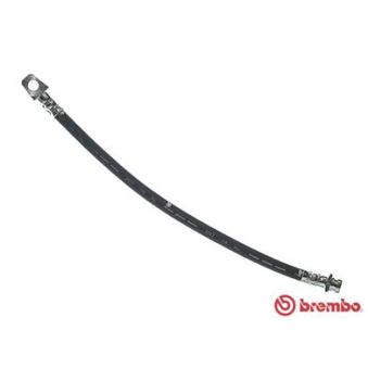 Flexible de frein BREMBO OEM 46201R8010