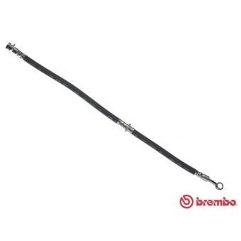Flexible de frein BREMBO OEM 462105F002
