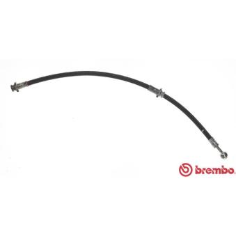 Flexible de frein BREMBO T 56 078