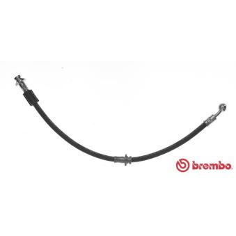 Flexible de frein BREMBO OEM 4621479917