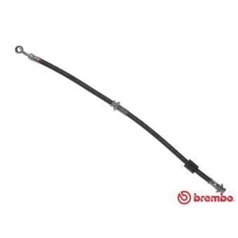 Flexible de frein BREMBO OEM 4621095R01