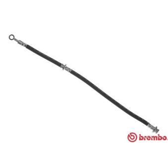 Flexible de frein BREMBO OEM 462100M007