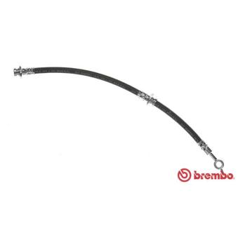 Flexible de frein BREMBO OEM 462102F001