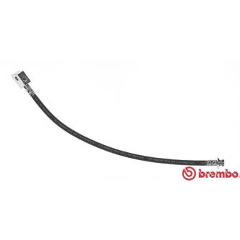 Flexible de frein BREMBO OEM 462110F015