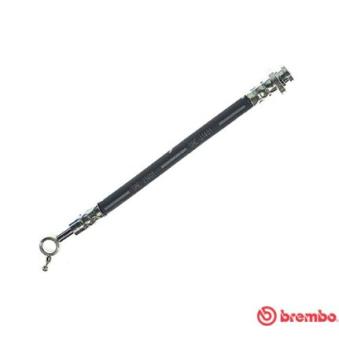 Flexible de frein BREMBO OEM 462101FE0E