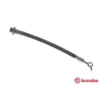 Flexible de frein BREMBO OEM 46210JD620