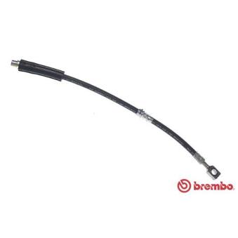 Flexible de frein BREMBO OEM 562377