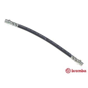Flexible de frein BREMBO OEM 5562078