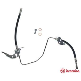 Flexible de frein BREMBO OEM 13116136