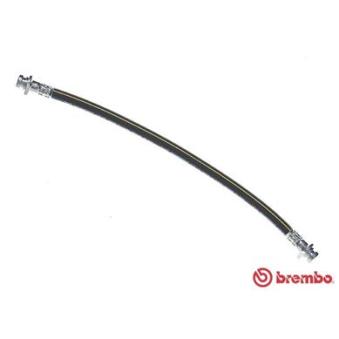 Flexible de frein BREMBO OEM 93195319