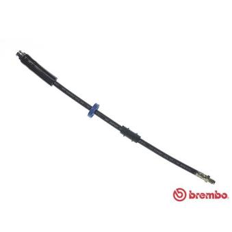 Flexible de frein BREMBO OEM 480636