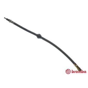 Flexible de frein BREMBO OEM 480642