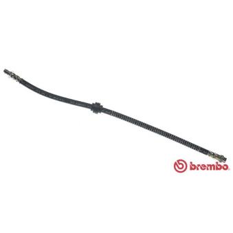 Flexible de frein BREMBO OEM 480685