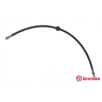 Flexible de frein BREMBO OEM 96037346 Flexible de frein BREMBO OEM 96037346