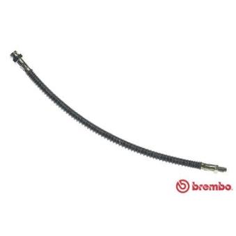 Flexible de frein BREMBO OEM 480626