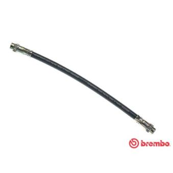Flexible de frein BREMBO OEM 7704003961