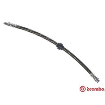 Flexible de frein BREMBO OEM 7700313596