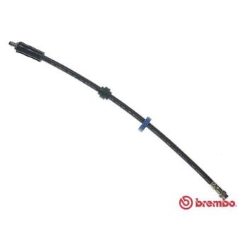 Flexible de frein BREMBO OEM 7700834731
