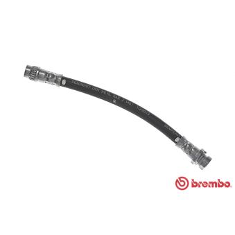 Flexible de frein BREMBO OEM 7701050073