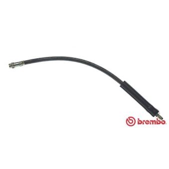 Flexible de frein BREMBO OEM 7704003846 Flexible de frein BREMBO OEM 7704003846