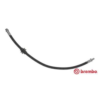 Flexible de frein BREMBO OEM 8200129954