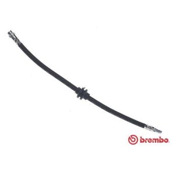 Flexible de frein BREMBO OEM 8200735345