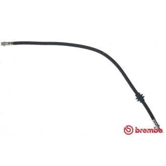 Flexible de frein BREMBO OEM 8200735348 Flexible de frein BREMBO OEM 8200735348