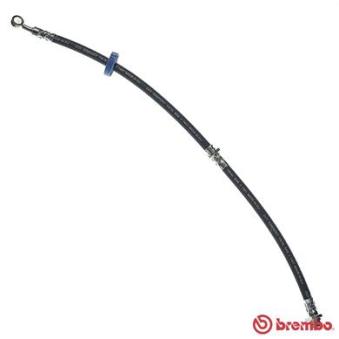 Flexible de frein BREMBO OEM 5154060A31 Flexible de frein BREMBO OEM 5154060A31