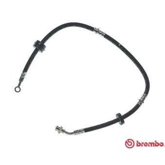 Flexible de frein BREMBO OEM 5155060A31 Flexible de frein BREMBO OEM 5155060A31