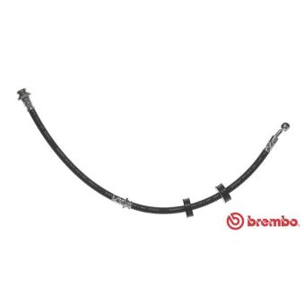Flexible de frein BREMBO OEM 5154060A31000 Flexible de frein BREMBO OEM 5154060A31000