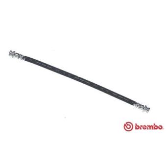 Flexible de frein BREMBO OEM 93195319