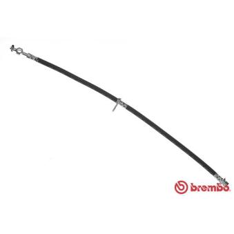 Flexible de frein BREMBO T 83 114