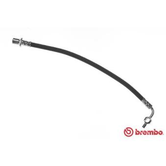 Flexible de frein BREMBO T 83 126