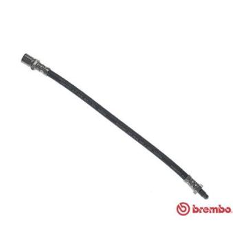 Flexible de frein BREMBO OEM 4426826
