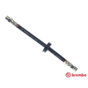 Flexible de frein BREMBO OEM 481611766