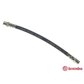 Flexible de frein BREMBO OEM 443611775A Flexible de frein BREMBO OEM 443611775A