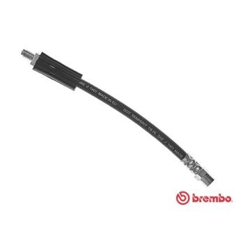 Flexible de frein BREMBO OEM 8D0611775D