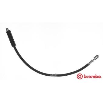 Flexible de frein BREMBO [T 85 113]
