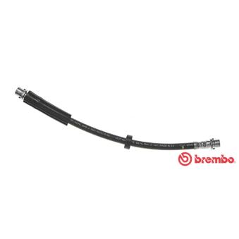 Flexible de frein BREMBO T 85 117 pour KIA PRIDE 3.0 - 218cv