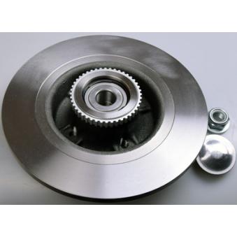 Jeu de 2 disques de frein arrière DENCKERMANN OEM 7701206328