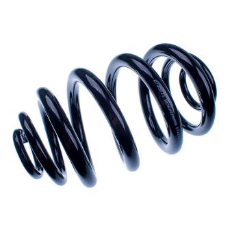 Ressort de suspension DENCKERMANN OEM 701511105A